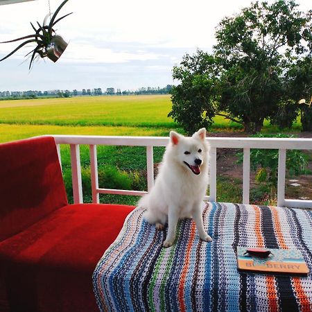 The 99 Cottage  สุพรรณบุรี ภายนอก รูปภาพ