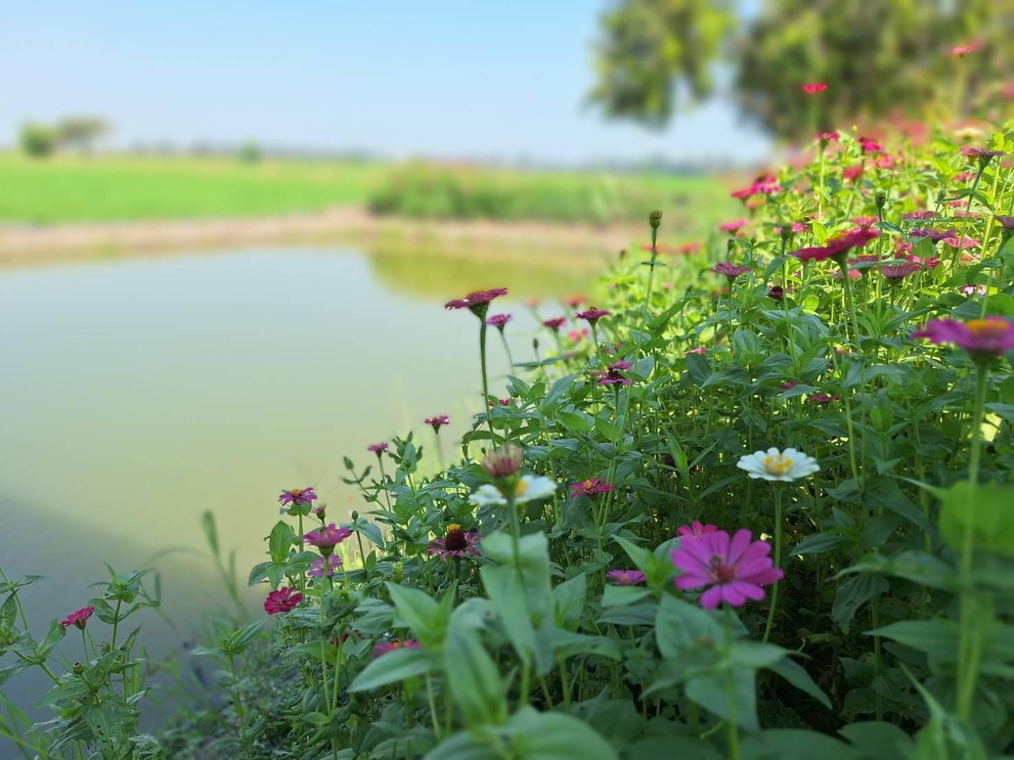 The 99 Cottage  สุพรรณบุรี ภายนอก รูปภาพ