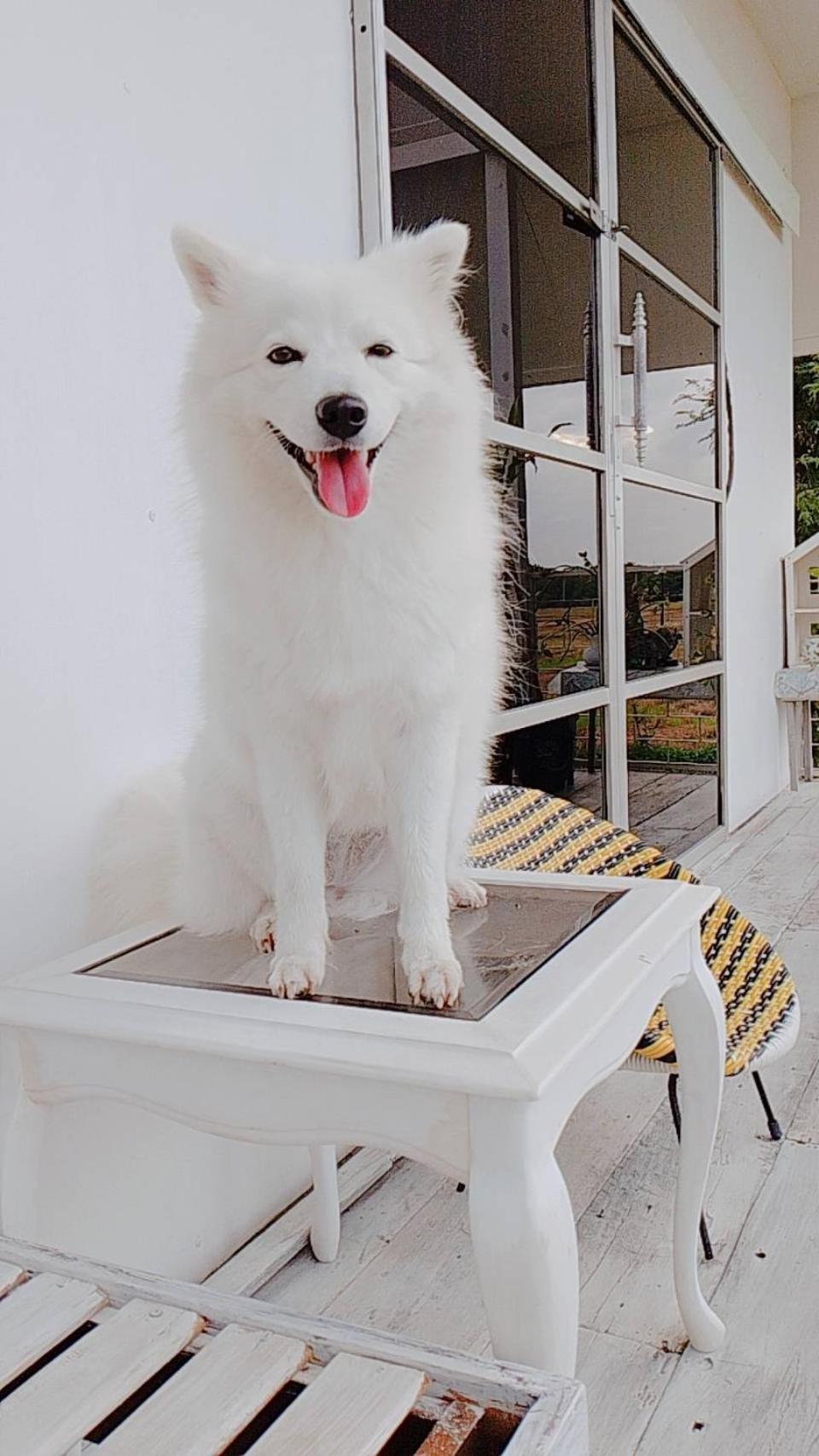 The 99 Cottage  สุพรรณบุรี ภายนอก รูปภาพ