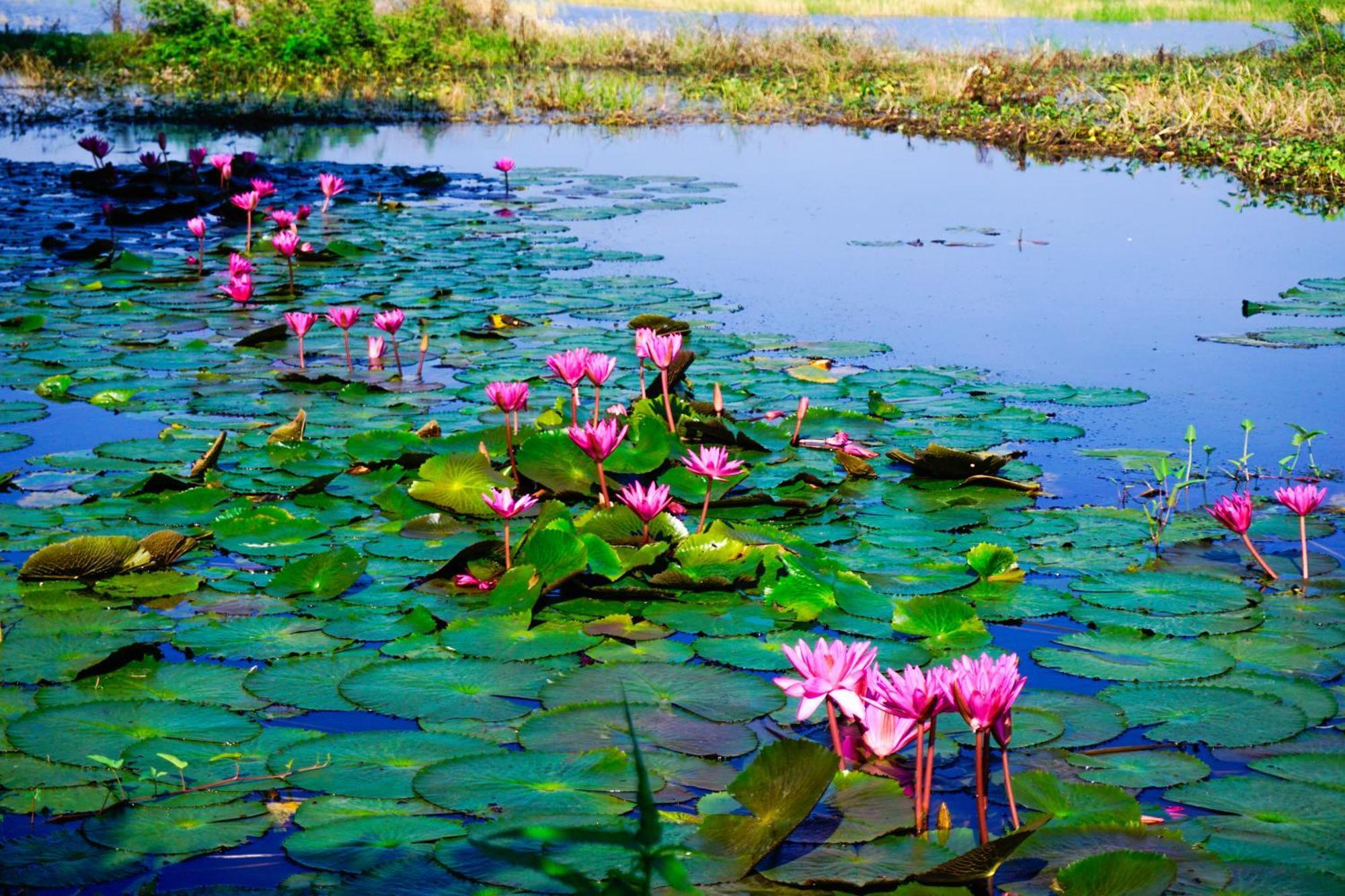 The 99 Cottage  สุพรรณบุรี ภายนอก รูปภาพ