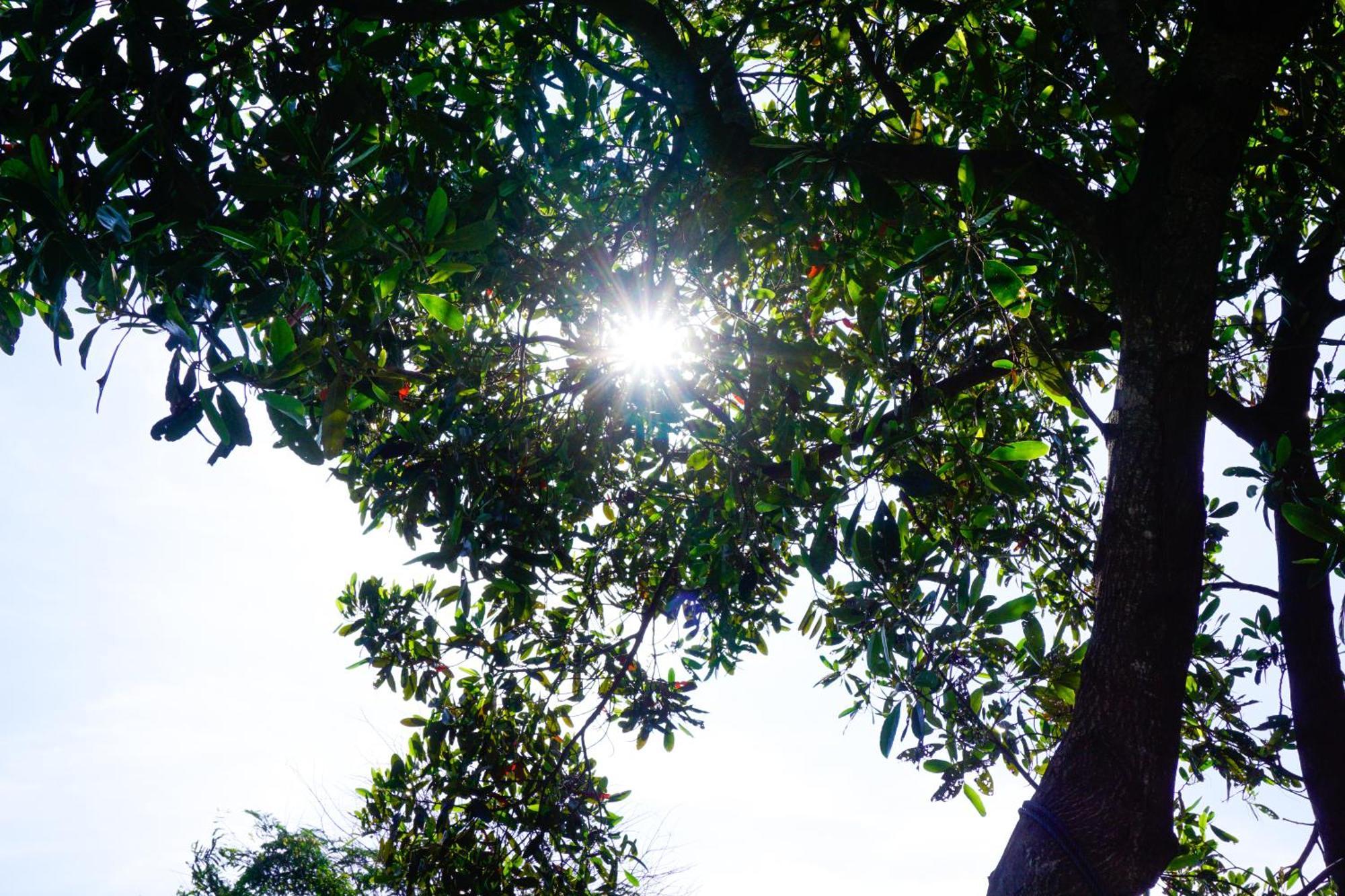 The 99 Cottage  สุพรรณบุรี ภายนอก รูปภาพ